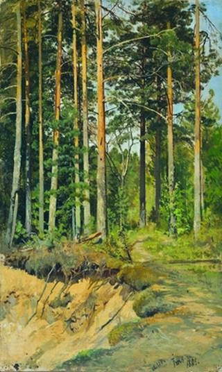 Сосновый лес. 1888